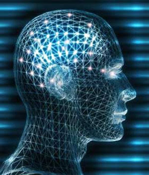  Terapia conductual y alimentación: cambio a nivel cerebral  