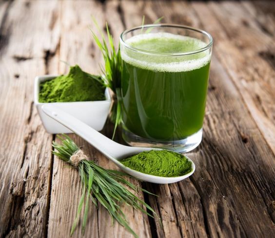 Los Beneficios De La Espirulina